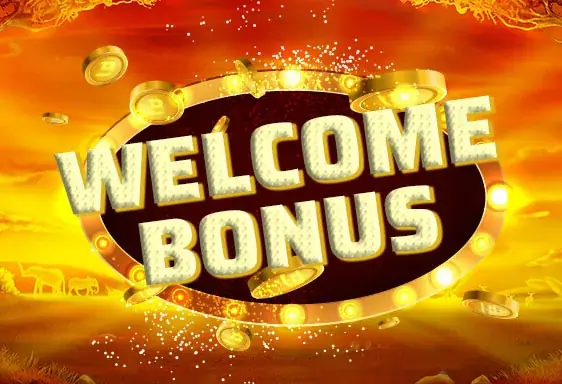 Jeetcity welcome bonus
